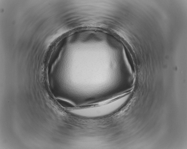 X0000088660971200706081658