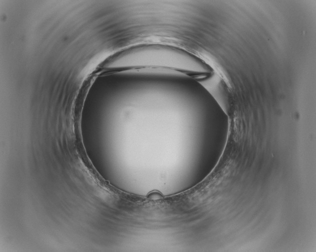 X0000088660972200706081658