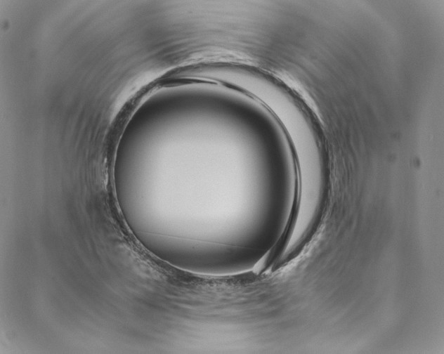 X0000088660973200706081658