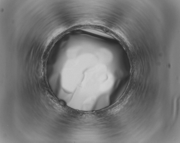 X0000088660974200706081658