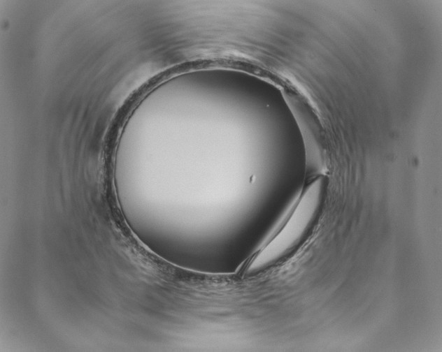 X0000088660975200706081658