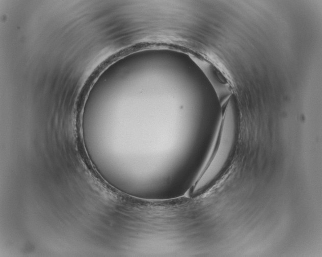 X0000088660976200706081658