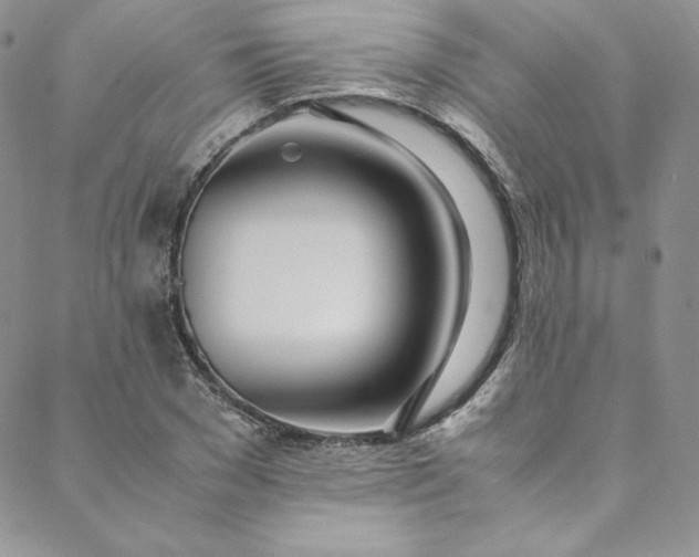 X0000088660977200706081658