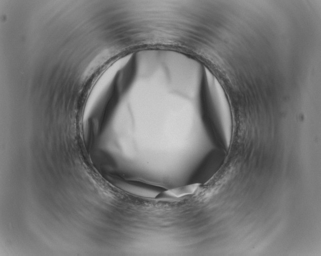 X0000088660978200706081658