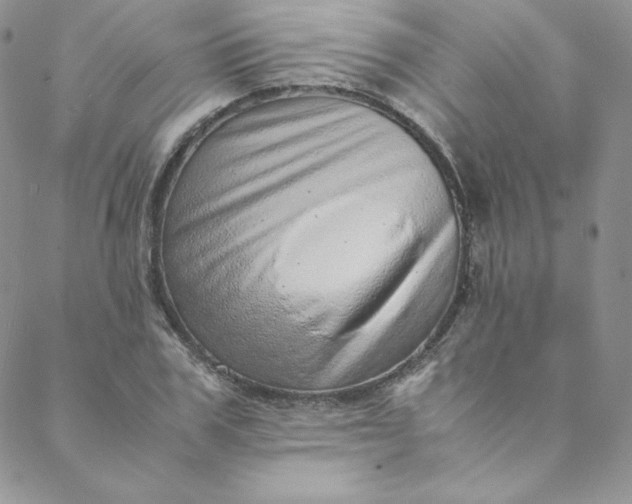 X0000088660979200706081658