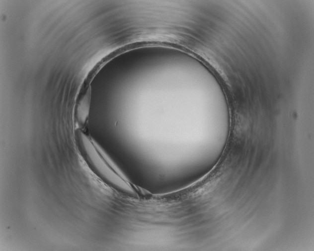 X0000088660980200706081658