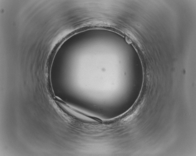 X0000088660981200706081658