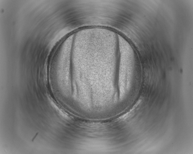 X0000088660982200706081658