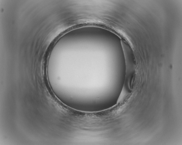 X0000088660983200706081658