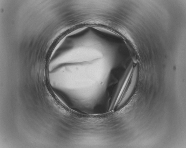 X0000088660984200706081658