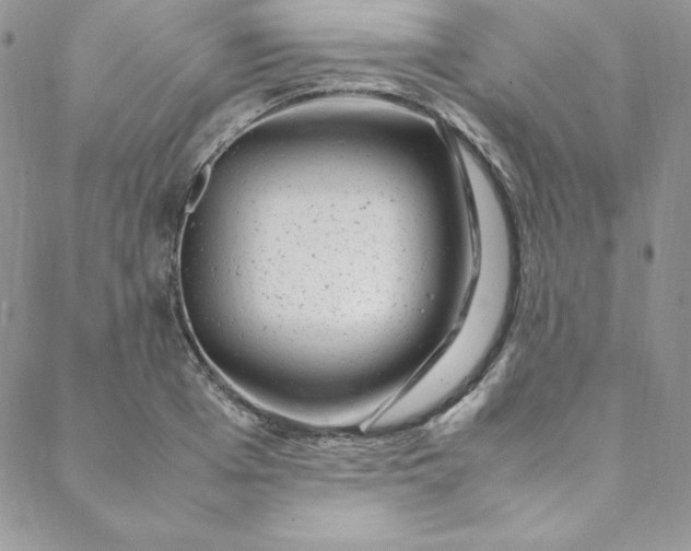 X0000088660985200706081658