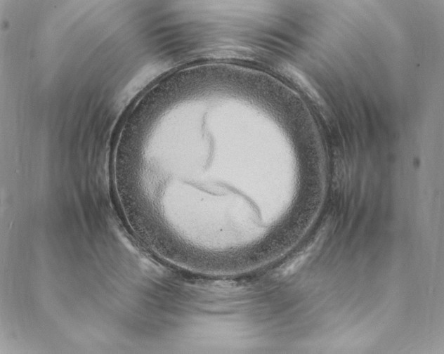 X0000088660986200706081658