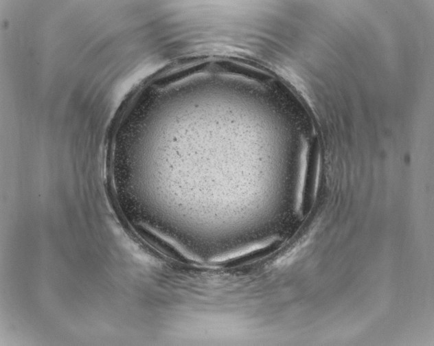 X0000088660987200706081658