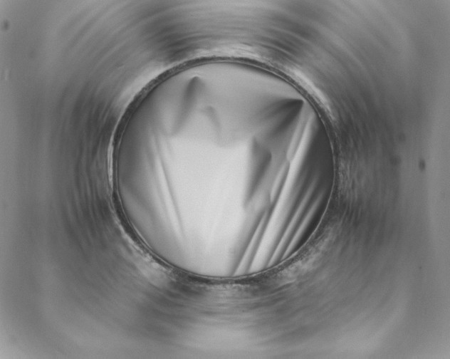 X0000088660988200706081658