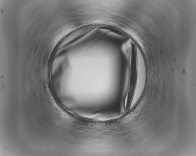 X0000088660991200706081658