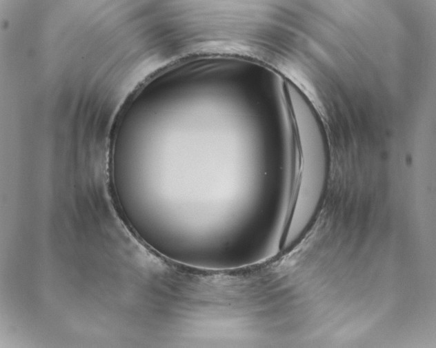 X0000088660992200706081658