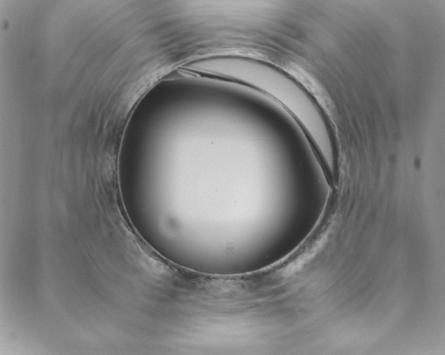 X0000088660993200706081658