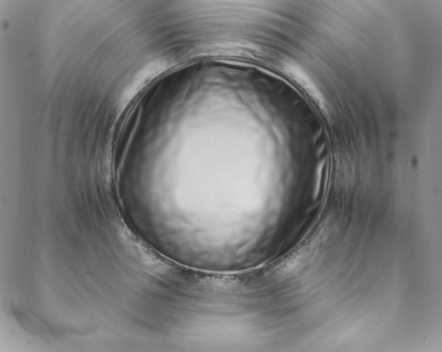 X0000088660994200706081658