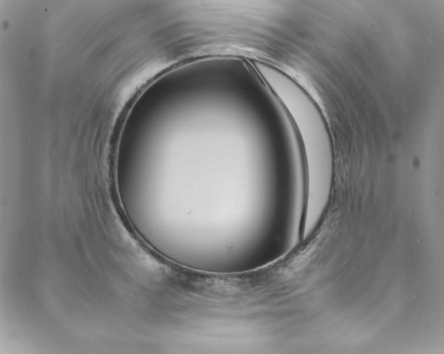 X0000088660995200706081658