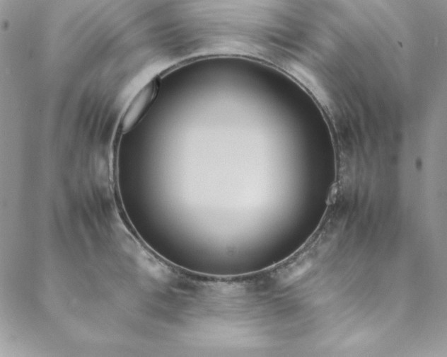 X0000088660996200706081658