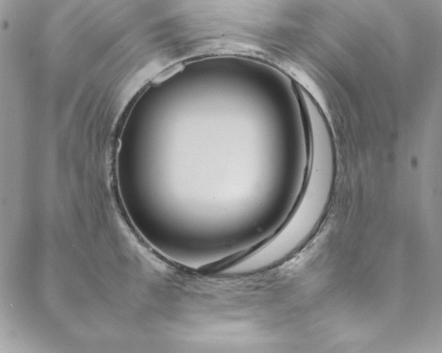 X0000088660997200706081658