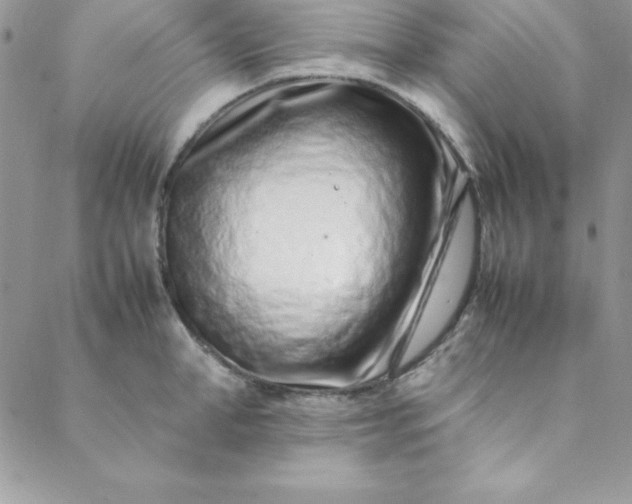 X0000088660998200706081658