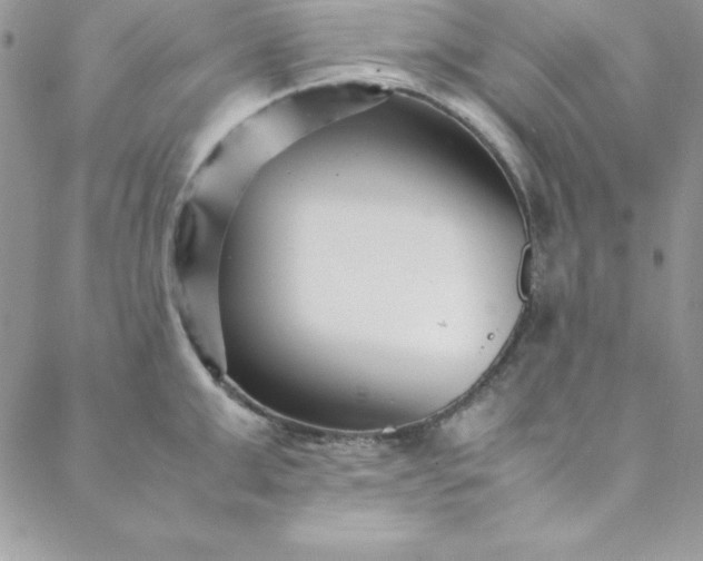 X0000088660999200706081658