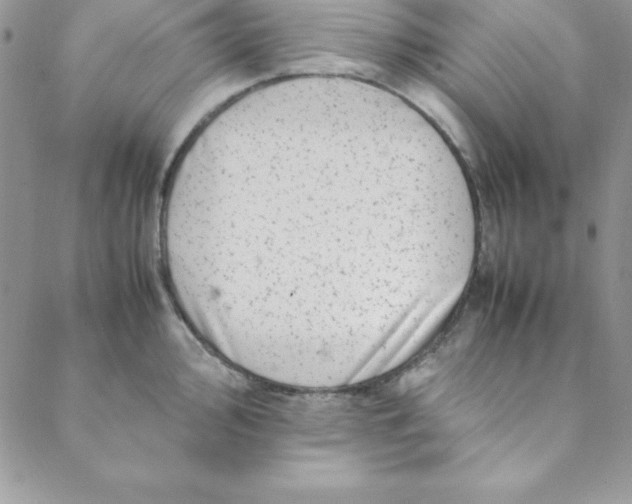 X0000088661000200706081658