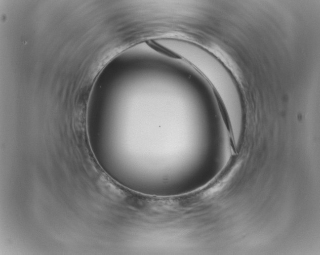 X0000088661001200706081658