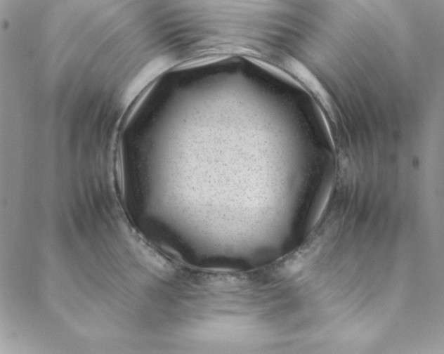 X0000088661002200706081658