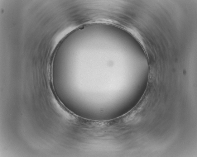 X0000088661003200706081658