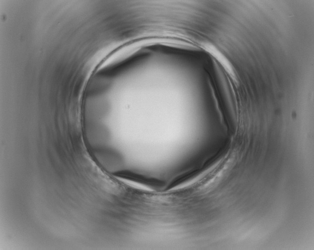 X0000088661004200706081658