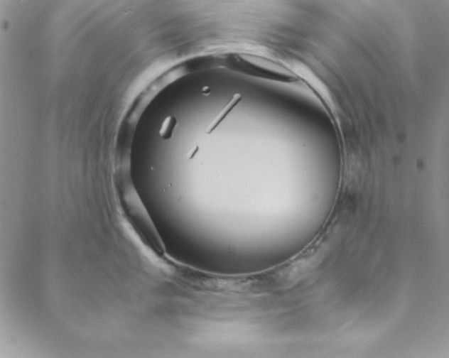 X0000088661005200706081658