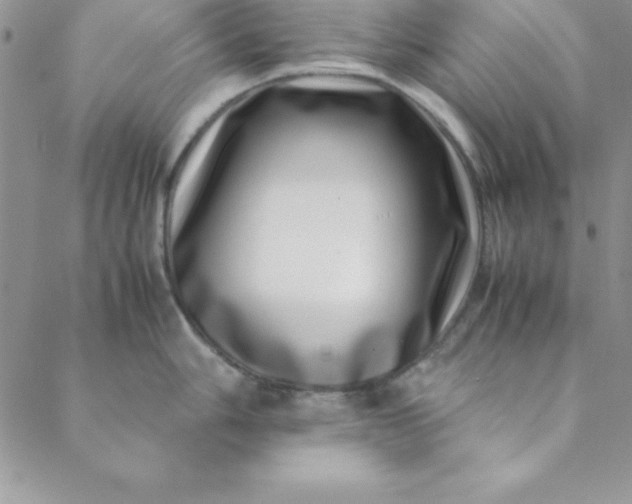 X0000088661006200706081658