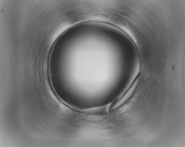 X0000088661007200706081658