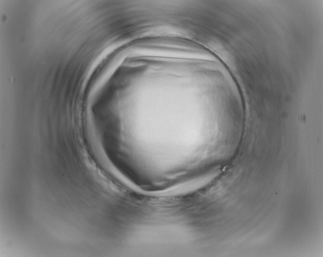 X0000088661008200706081658