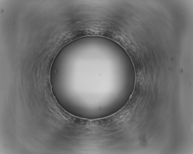 X0000088661009200706081657