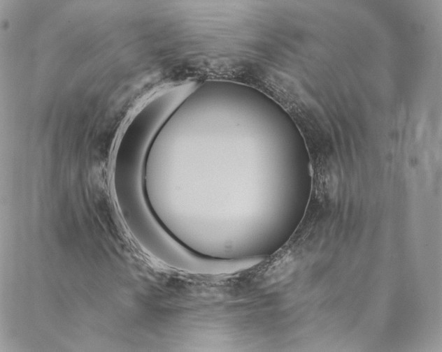 X0000088661010200706081657