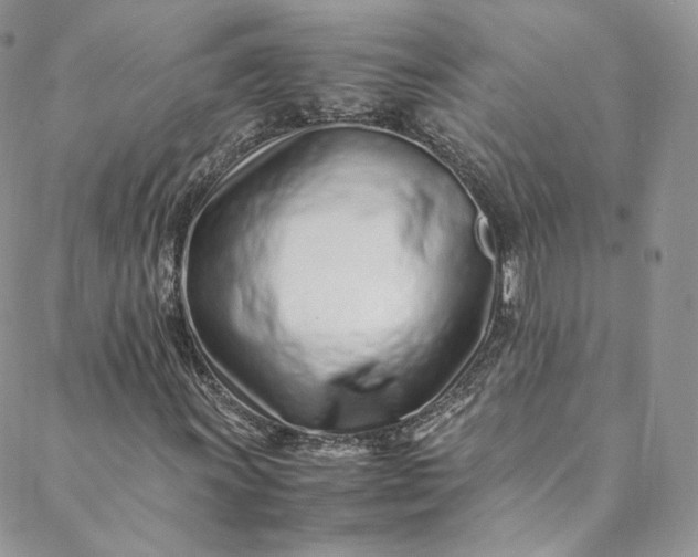 X0000088661011200706081657