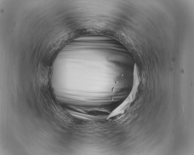 X0000088661012200706081657