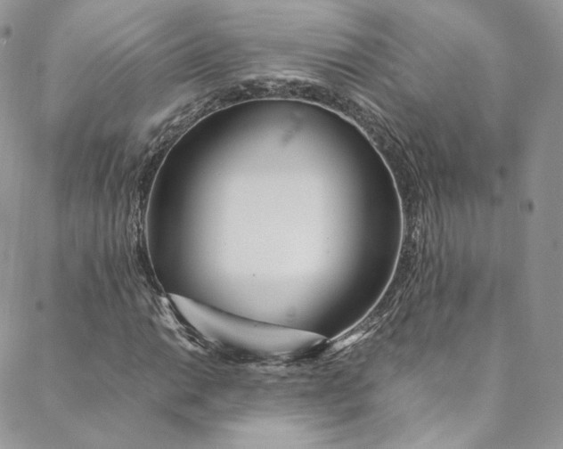 X0000088661014200706081657