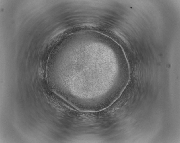 X0000088661015200706081657