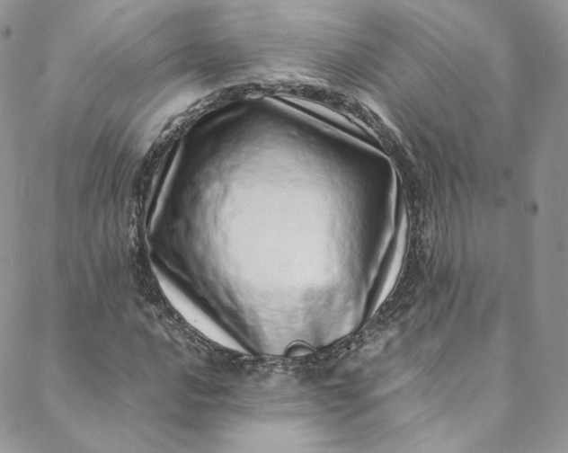 X0000088661016200706081657