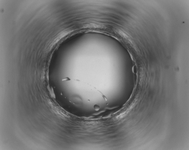 X0000088661017200706081657