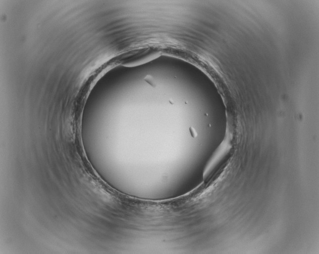 X0000088661018200706081657