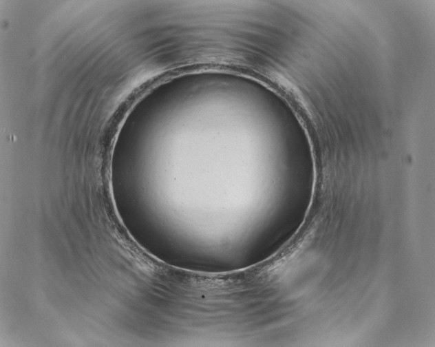 X0000088661019200706081657