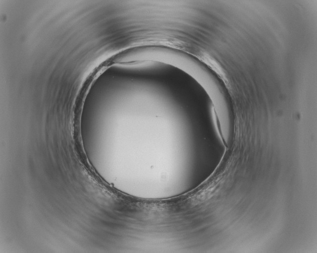 X0000088661020200706081657