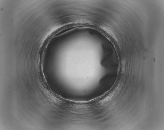 X0000088661021200706081657