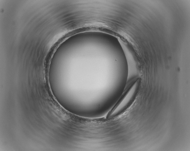 X0000088661022200706081657