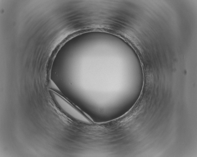 X0000088661023200706081657